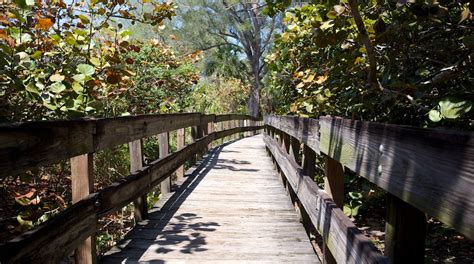 Wiggins pass state park - Delnor-Wiggins Pass State Park. 4.5. 1,675 reviews. #9 of 168 things to do in Naples. State Parks. Closed now. 8:00 AM - 6:30 PM. 